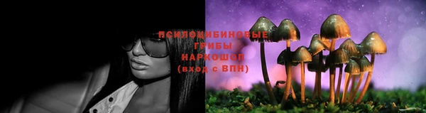 хмурый Алексин