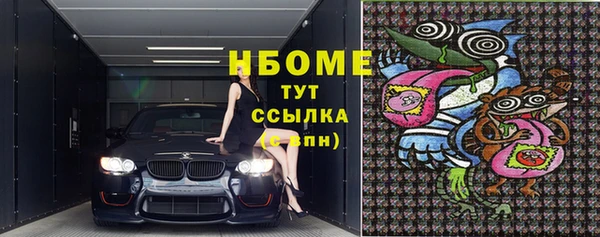 хмурый Алексин